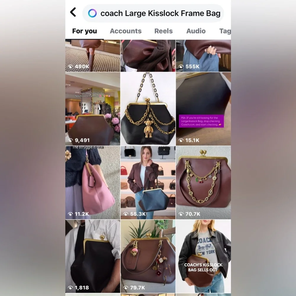 Coach Large Kisslock Frame Bag - Picture 10 of 16